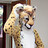 Rallicat Rallicat