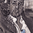 SiNaPsE